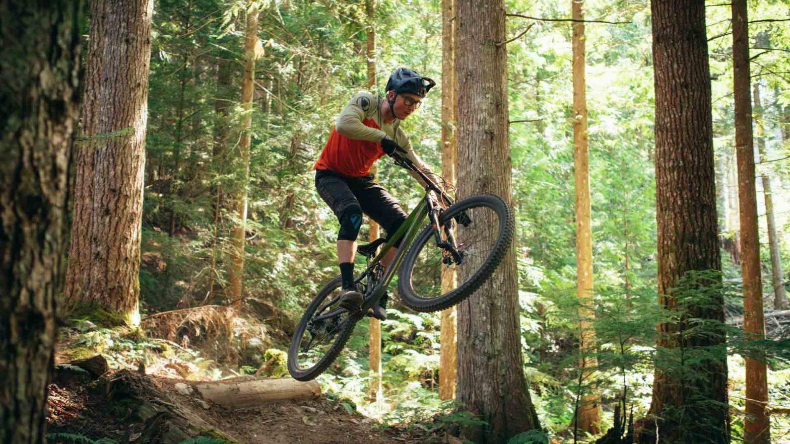 Marin Rift Zone for Sale Buyer's Guide