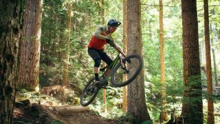 Marin Rift Zone for Sale Buyer's Guide